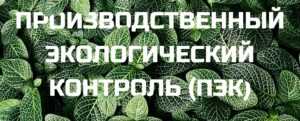 Кто такой специалист, составляющий программу ПЭК?